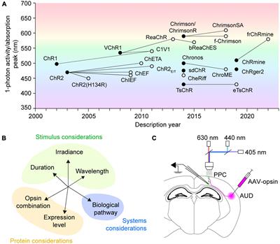 Practical considerations in an era of multicolor optogenetics